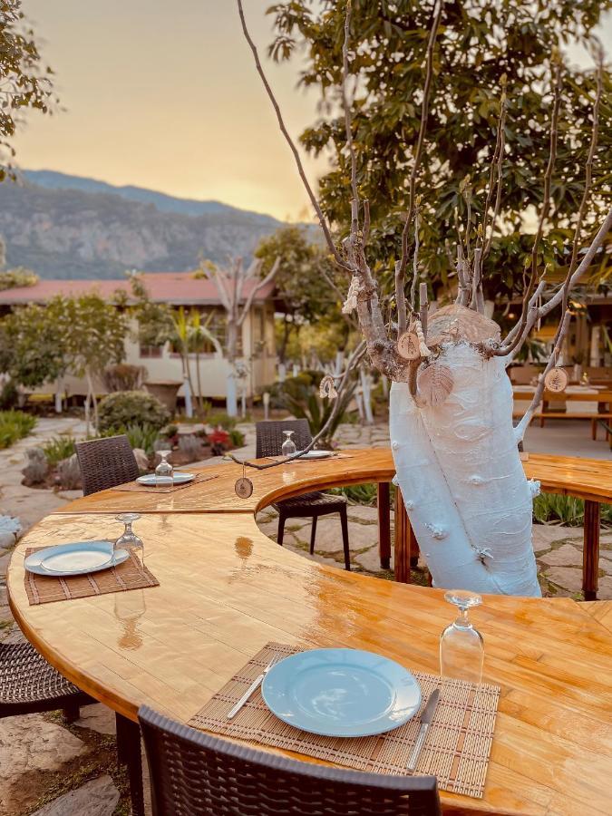 Oase Garden Hotel Çıralı Zewnętrze zdjęcie